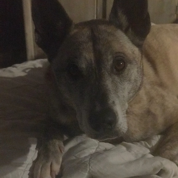 Meet your Posher, Anna - Picture 6 of 8